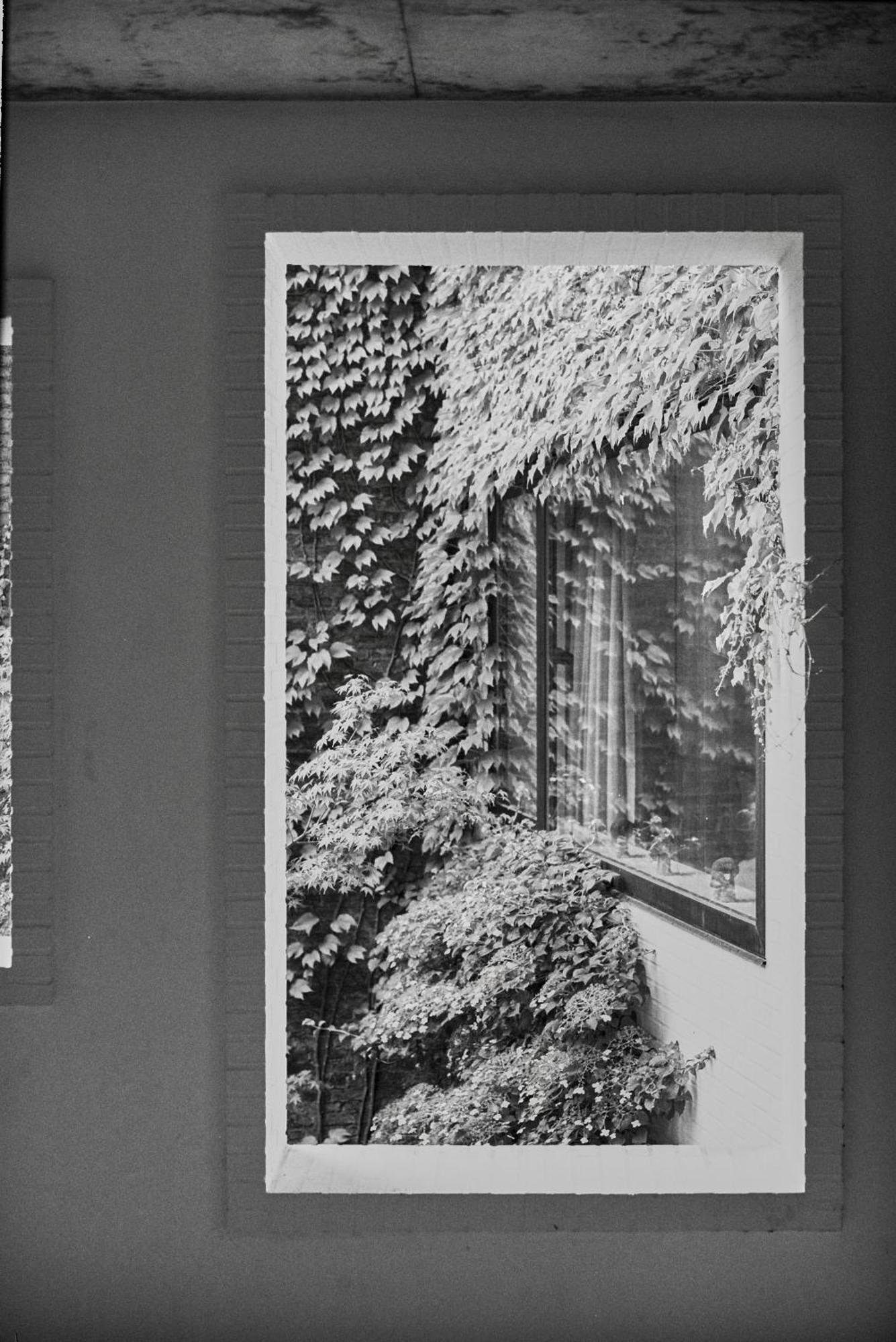 Apartmán Teddy Picker Brusel Exteriér fotografie